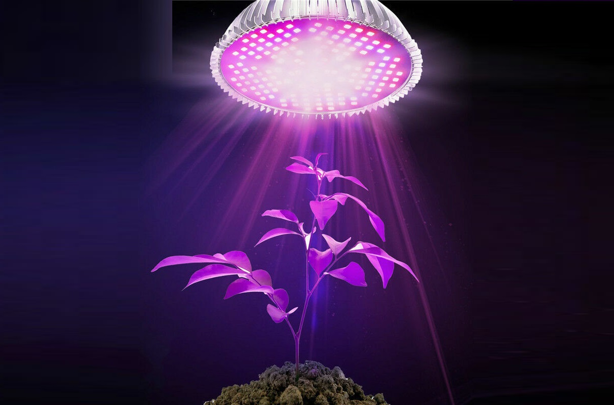 GROW LED žarnice za rastline