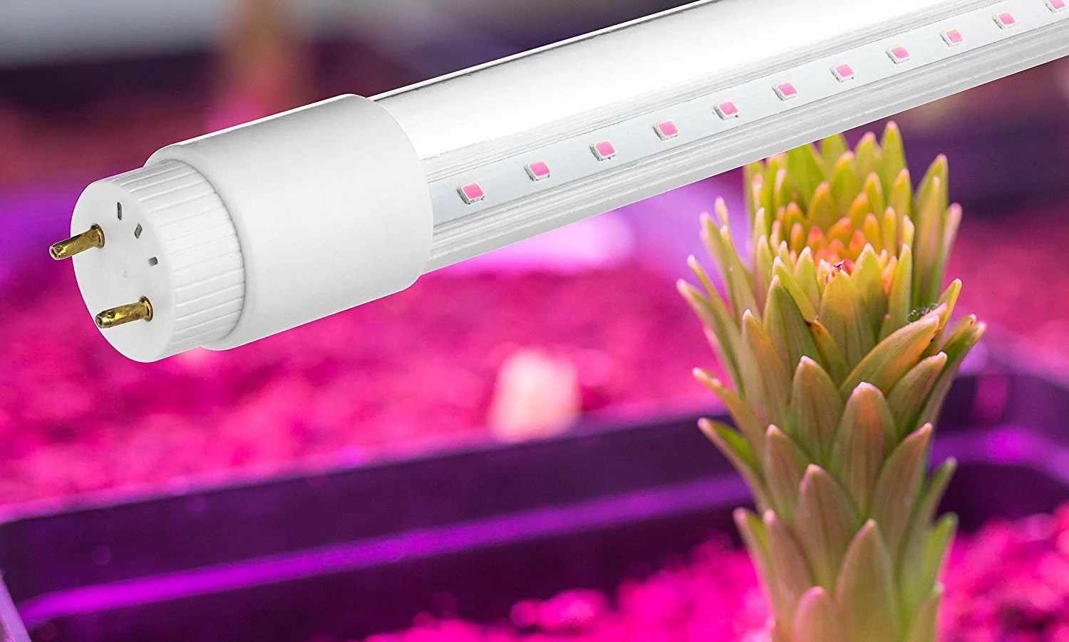 GROW cevne LED luči za rastline