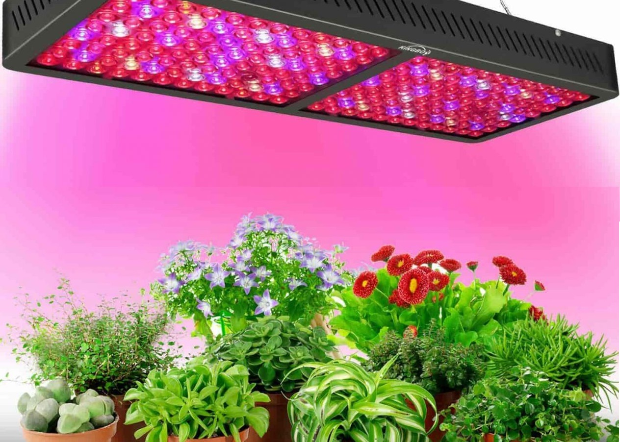 GROW LED luči za rastline