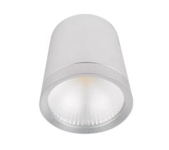 Nadometna stropna LED luč / Belo ohišje / Nevtralno bela / 20W / AC230V