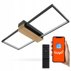 LED stropna svetilka TUYA App za telefon + daljinski upravljalnik 30W