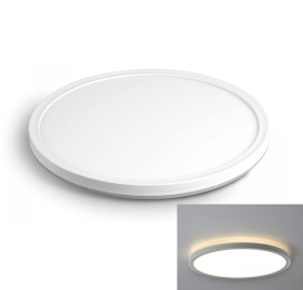 Stropna luč dnevno bela