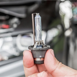 Xenon žarnice, balasti, adapterji in HID kompleti za vozila